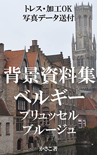 背景資料集ベルギー ブリュッセル ブルージュ 冬のヨーロッパの街並み かさこ 写真 Kindleストア Amazon