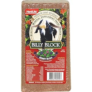 Evolved Habitats 94010 Billy Goat Mineral Supplement Treat Block – Berry Bush – 4 lbs.