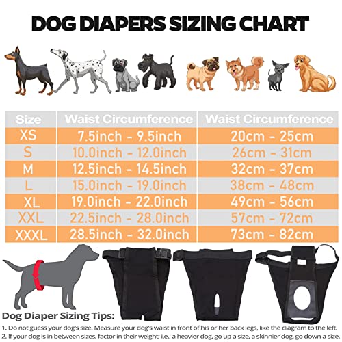 LeerKing 3er Pack Läufigkeitshose für Hündinnen waschbar Läufigkeitshöschen mit 9 Einlagen weibliche Hunde Läufigkeitshosen Hundewindeln Schwarz XS