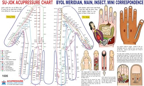 Image of Sujok Byol Magnet Medium 5mm (60pc)
