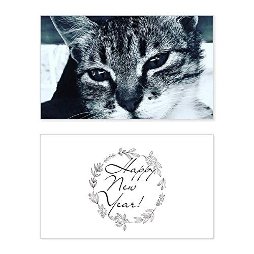Tarjeta conmemorativa de gato gris para felicitar el Año Nuevo con estilo moderno