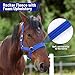 NIUTRIP Horse Halter with Wool Lining, Adjustable Halter for Horses Satin Hardware to Prevent Friction, Breakaway Halters for Horses，Fits Pony, Yearling, Draft Horses (Blue, S)