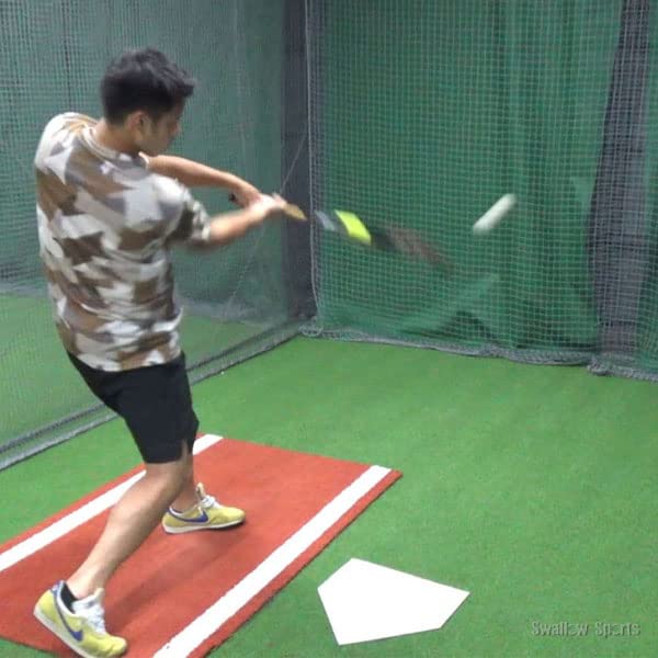 フィールドホース　素振りバット 野球 室内 素振り バット フィールドフォース トレーニング