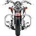 Cobra Fatty Freeway Bars 01-2137