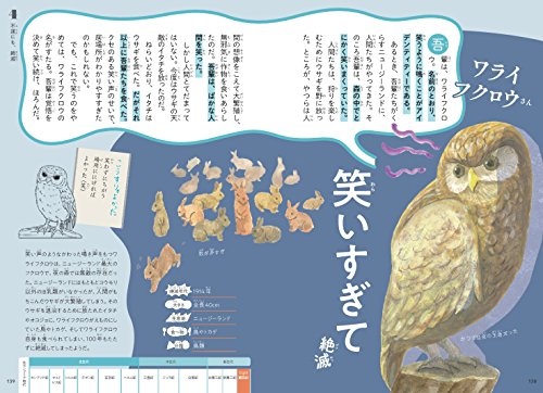 絶滅動物一覧 人間のせい ヒトが滅ぼした野生動物たち ジャングルタイムズ