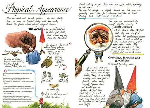 Gnomes originaux à offrir pour pendaison de crémaillère et fête - 3