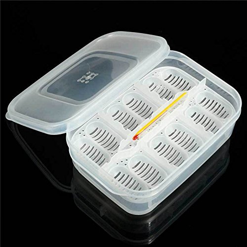 Incubatrice Per Uova Di Rettili - Vassoio 12 Posti Con Termometro, Per Serpenti, Lucertole, Gechi