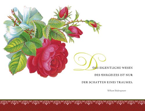 365 Momente voller Sonnenschein (Geschenkbücher für Erwachsene)