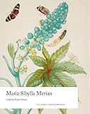  Maria Sibylla Merian (Illuminating Women Artists)