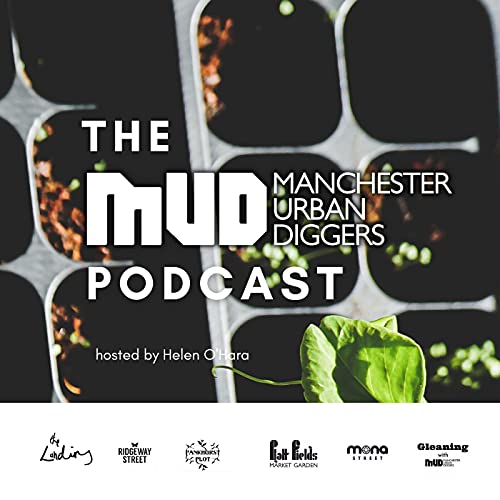 The MUD Podcast cover art