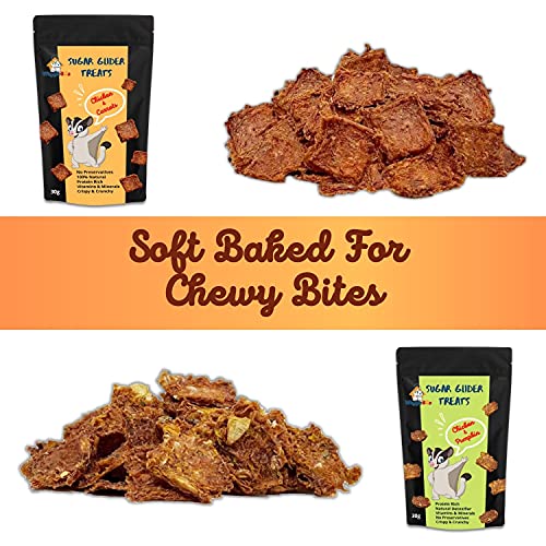 Sugar Glider Treats Combo | Chicken-Carrot + Chicken-Pumpkin | Travel Pack | Crunchy Snack | 30g + 30g
