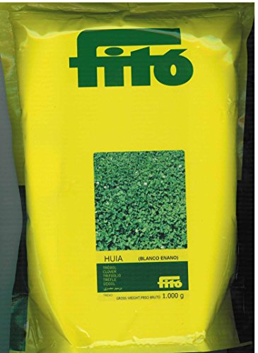 Semilla Trébol blanco enano (Huya) - Semillas Fitó