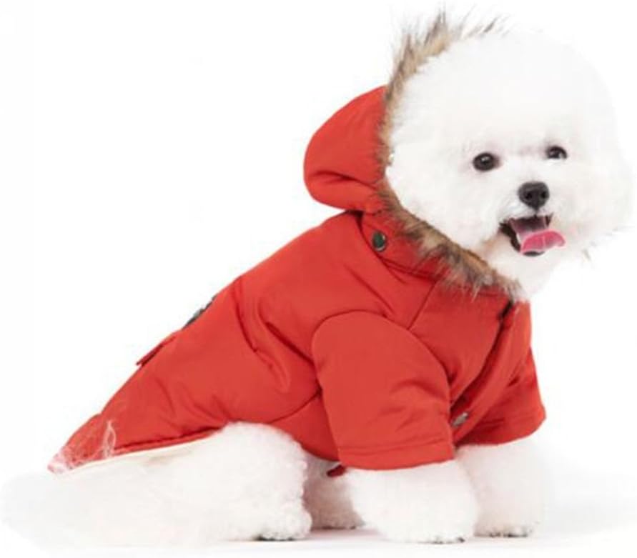 down jacket dog