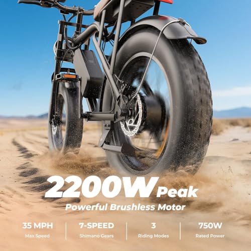 RKJ Electric Bike for Adults, 2200W, 30/32MPH, 75 Miles, 48V