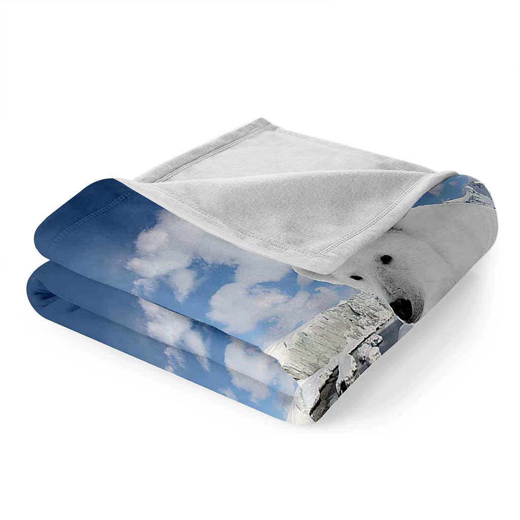 Manta Polar Grande Gruesa 150X200Cm para Cama 150, 3D Oso Polar Glaciar Impresión Patrón Manta De Franela Invierno Manta Felpa De Sofá 100% Microfibra Suave, Caliente para Hogar