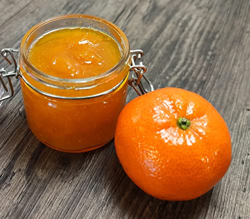 Mandarinen-Eispaste für fruchtiges aromatisches Eis » Auch zum Verfeinern von leckeren Desserts, Getränke, Pralinen Torten und vielem mehr » Inhalt 250 g – Bild 8