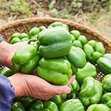 Amplia gama de usos, adaptable a diferentes entornos.