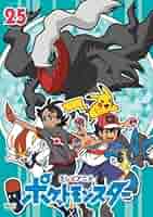ポケットモンスター　ポケモン　2019 DVD 10枚セット　レンタル落ち ポケットモンスター ポケモン 2019 DVD 10枚セット レンタル落ち