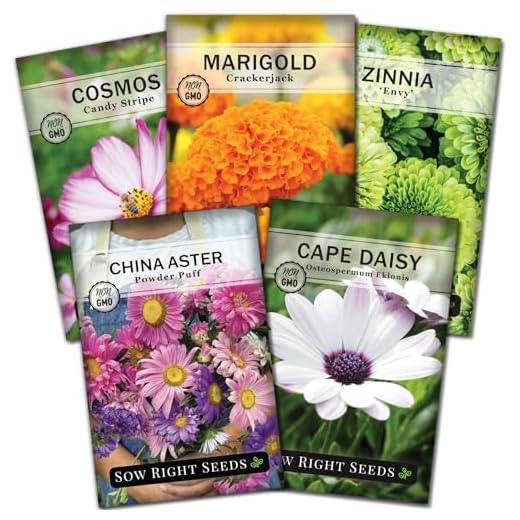 Sow Right Seeds - Flower Seed Garden Collection for Planting - 5 Packets Includes Marigold, Zinnia, China Aster, Cape Daisy, and Cosmos - Wonderful Gardening Gift