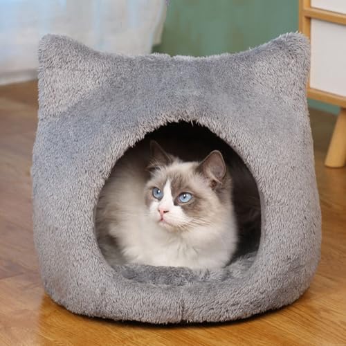 Lxbh LnEX h[^ ~p lR {A 萫 ӂӂ _炩   􂦂 ۉh ~ p ybgxbh ybgnEX  L O[L36*26