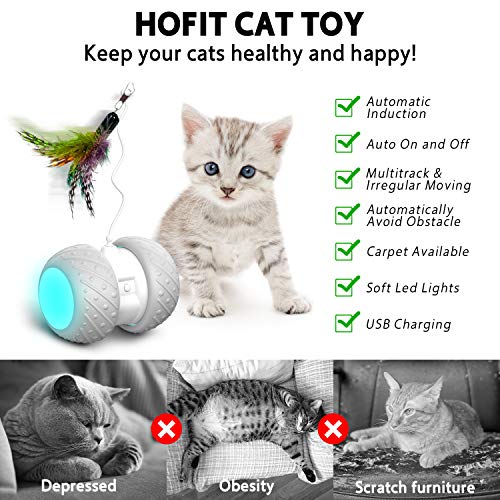 Interaktives elektrisches Katzenspielzeug von HOFIT