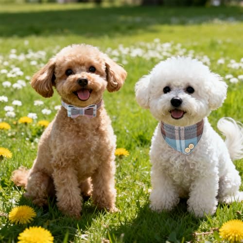Image of EXPAWLORER Dog Collar Bandana Set - Classic Plaid Dog Bow Tie and Bandana Collar with PU Leather, Adjustable Collars for Small Medium Large Dogs Cats, Holiday Ideal Gift, Blue S