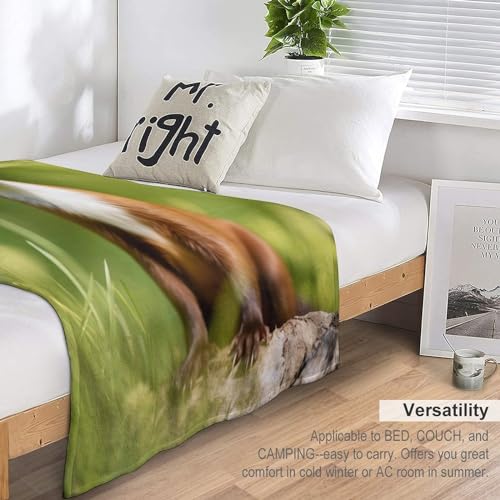 Manta de forro polar de visón 130x150 cm suave para sofá y cama 7