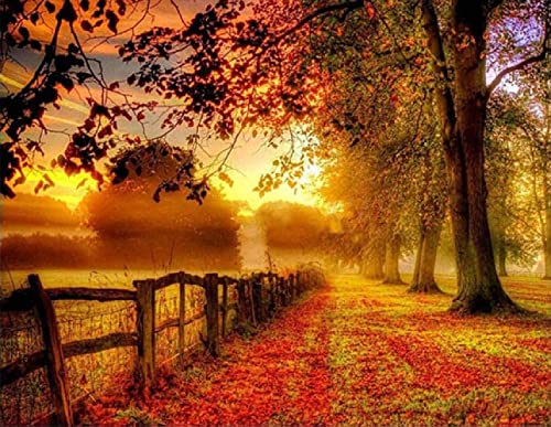 Kit Point de Croix Paysage d'Automne 11CT : brodez sans compter grâce à la toile imprimée