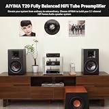 W pełni zbalansowany przedwzmacniacz lampowy AIYIMA T20 LME49720 do domowego sprzętu HiFi Mini przedwzmacniacz lampowy z wejściami i wyjściami RCA i XLR oraz wyjściem wyzwalającym 12 V