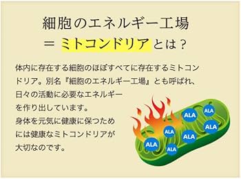 Amazon | SBIアラプロモ アラプラス5-ALA20 60粒 | SBIアラプロモ | 抗