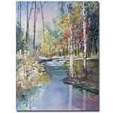 Trademark Art Ryan Radke Hartman Creek Birches Framed Canvas Art, 18 by 24-Inch