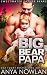 Big Bear Papa: BBW Werebear Surprise Baby Romance (Sweetwater Father Bears Book 3)
