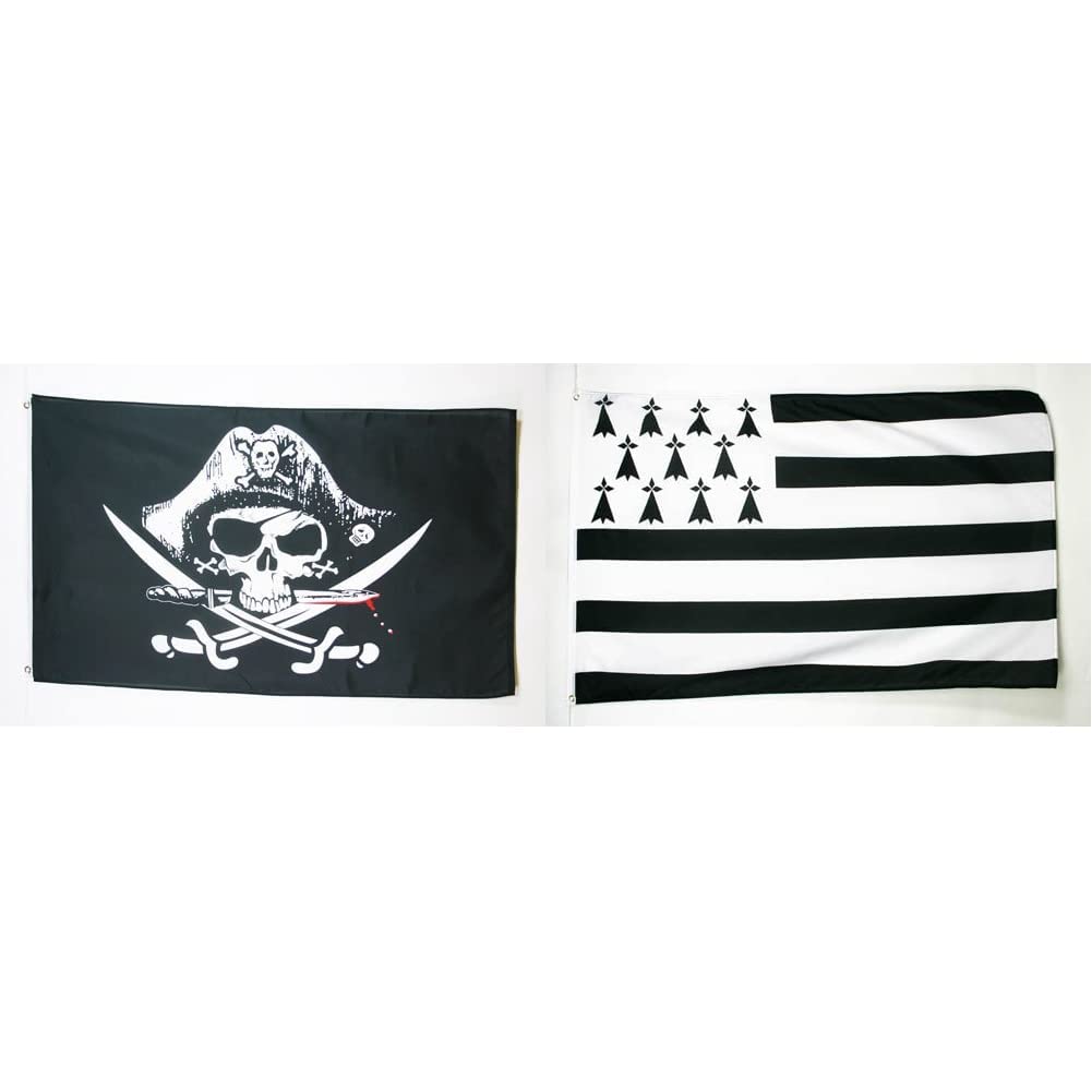 AZ FLAG - Drapeau Pirate Brethren Of The Coast - 45x30 Cm - Pavillon Nautique Corsaire Spécial Bateau Et Extérieur En Maille Bloquée Avec Anneaux Plastiques Intégrés - 30g