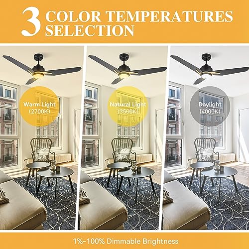 Smaair 48 Inch Smart Ceiling Fan With Light, Indoor Outdoor Ceiling Fan For Bedroom, Living Room, 3 Blade Dc Motor Ceiling Fan Compatible With Alexa/Google Assistant/Siri Shortcuts, Black/Gold #TOP3