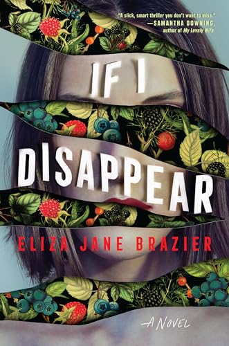 If I Disappear view 2