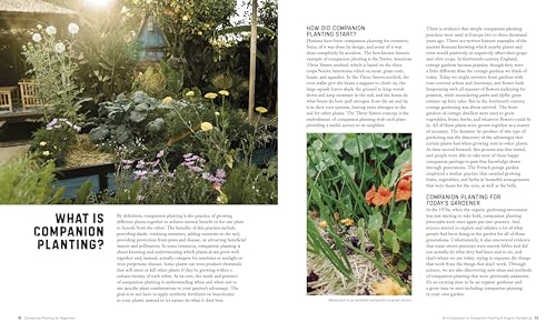 Companion Planting for Beginners: Pair Your Plants for a Bountiful, Chemical-Free Vegetable Garden - Image 2