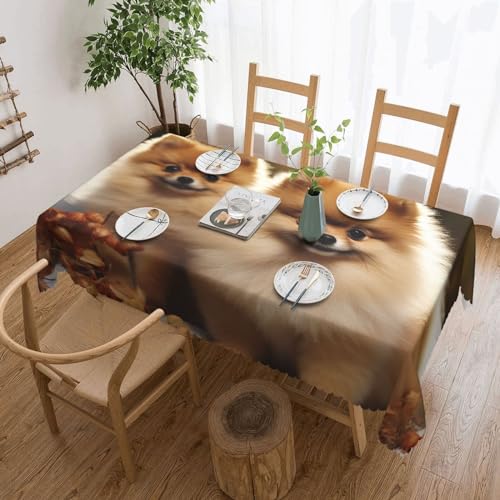 Nappe rectangulaire Poméranie imperméable lavable table cuisine - 2