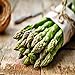 Mary Washington 10 Live asparagus bare root plants -2yr-crowns