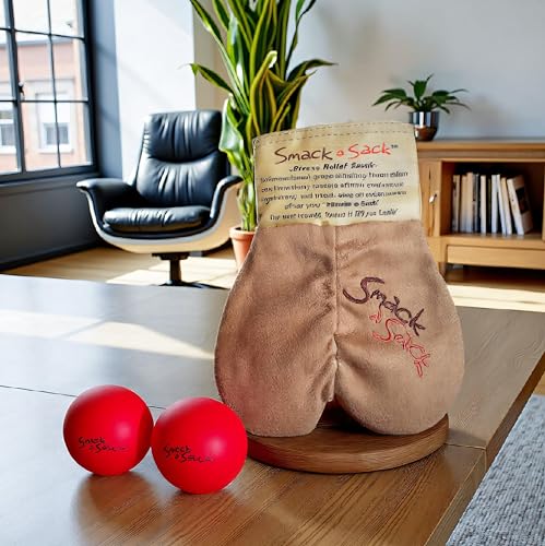 MySack Smack a Sack, Stress Relief Sack w/2 Red Stress Balls