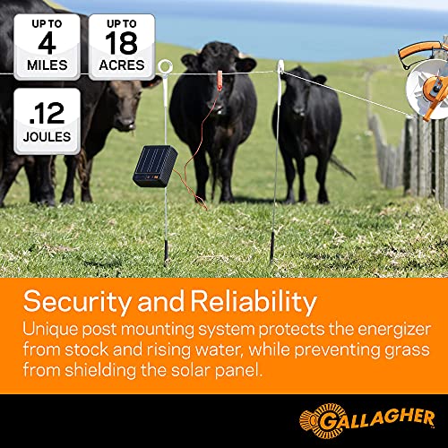 Gallagher S12 Solar Electric Fence Charger | Powers Up To 4 Miles / 18 Acres Of Fence | Solar Lithium Technology, 0.12 Stored Joule Energizer | Built-In Earthing | Portable And Super Tough #TOP2