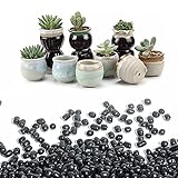 T4U Succulent Pots with Drainage and Black Gravels 1 lb