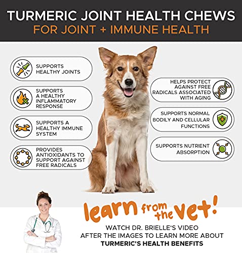 PetHonesty Turmeric Joint Health for Dogs - Hip & Joint Supplement Soft Chews with Turmeric, BioPerine, Fish Oil… - Image 3