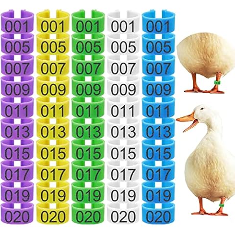 Keedolla 100Pcs 20mm Chicken Leg Rings 5 Colors Numbered Chicken Identification Leg Bands Chicken Tags for Leg, Chicken Ankle Rings for Ducks Guinea Goose Gamefowl Turkey - Medium Cover