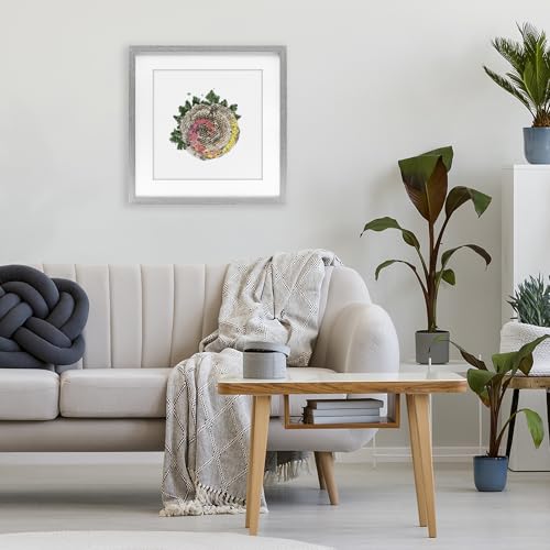 Affiche nid d'abeille Stupell Industries tableau plantes gris