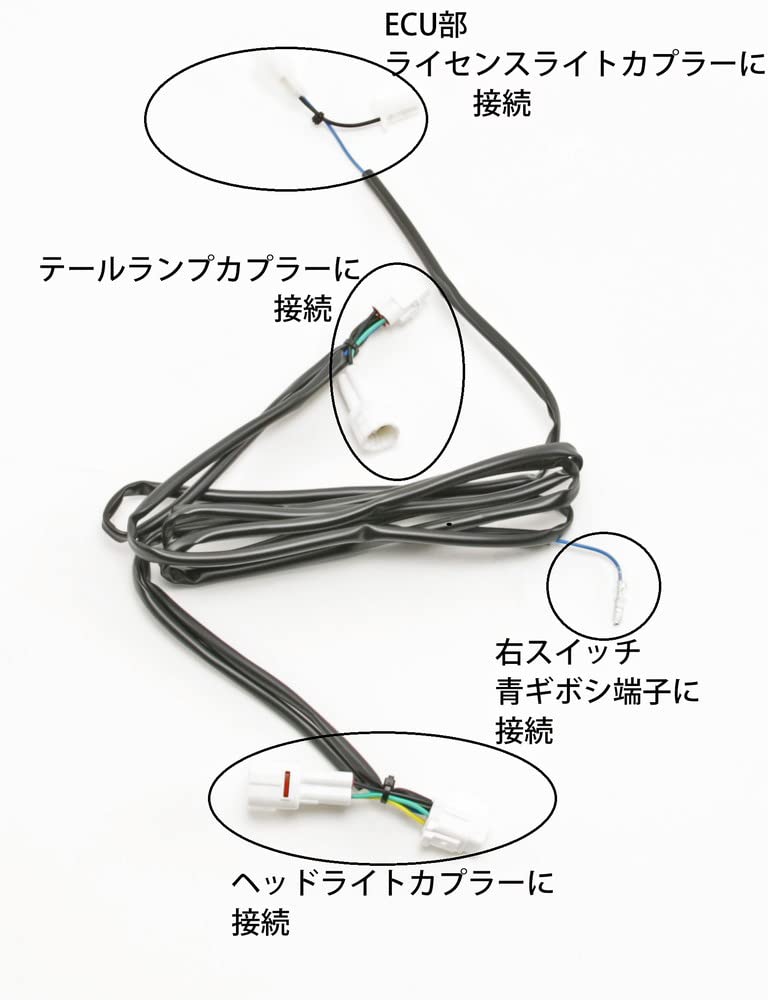 LIGHT MASTER シグナスグリファス ハンドルスイッチセット Amazon | LIGHT MASTER 6型CYGNUS(シグナス グリファス) GRYPHUS