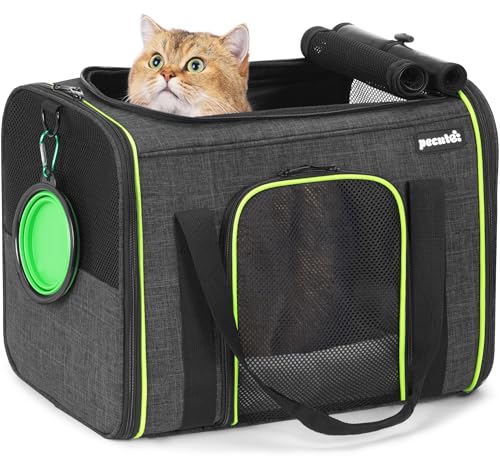 Pecute Trasportino per Gatto, Borsa per Gatti, Trasportino per Cani,Borsa
