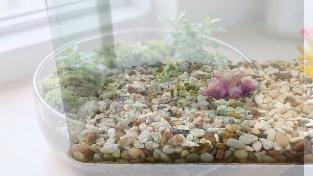 Image of 2.4lb Succulent and Cactus Gravel Pebbles, 1 /5 Inch Mixed Color Natural Rocks for Fish Tank, Indoor Plants, Aquarium, Vases, Landscaping