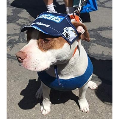 dodgers dog hat
