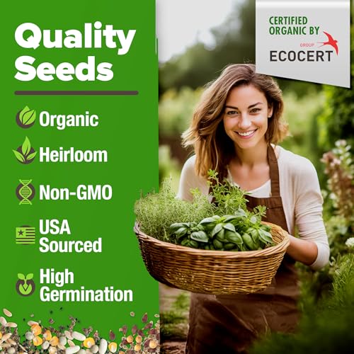 HOME GROWN Herb Seeds Non GMO, Heirloom 2,500+ Non GMO High-Germinating Heirloom Seeds for Planting Indoor Outdoor Herb Garden Hydroponics Garden Seeds, Basil Cilantro & More