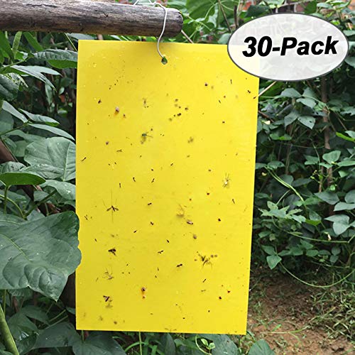 Gingbau 30-Pack Yellow Sticky Traps for Flying Plant Insects Like Fungus Gnats, Whiteflies